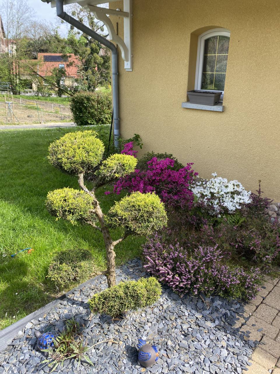 À vendre – Propriété familiale avec structure équestre