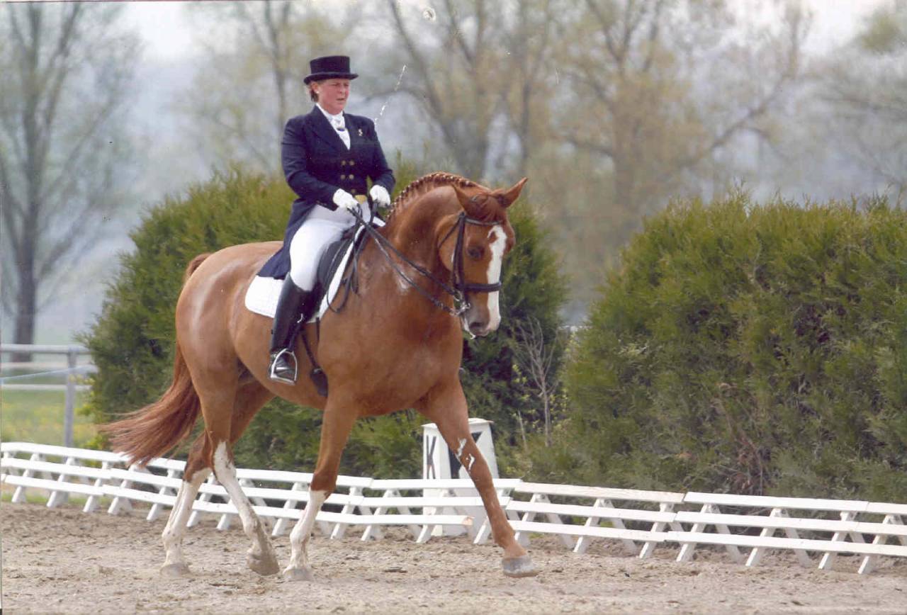 Enseignante indépendante en Centre Val de Loire.