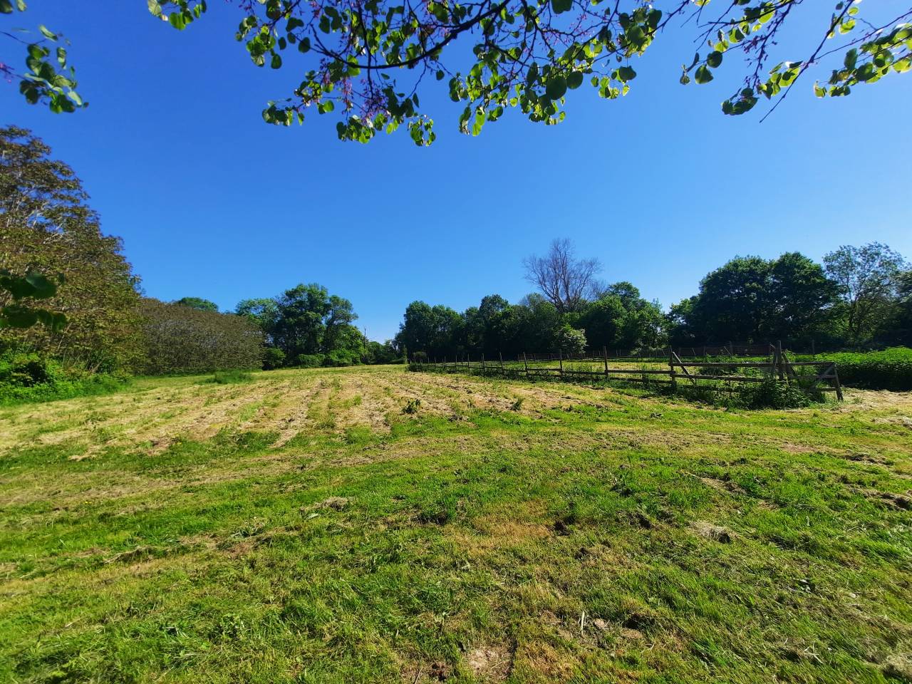 Propriété d’exception - 550 m² - 3 ha – Idéale chevaux 