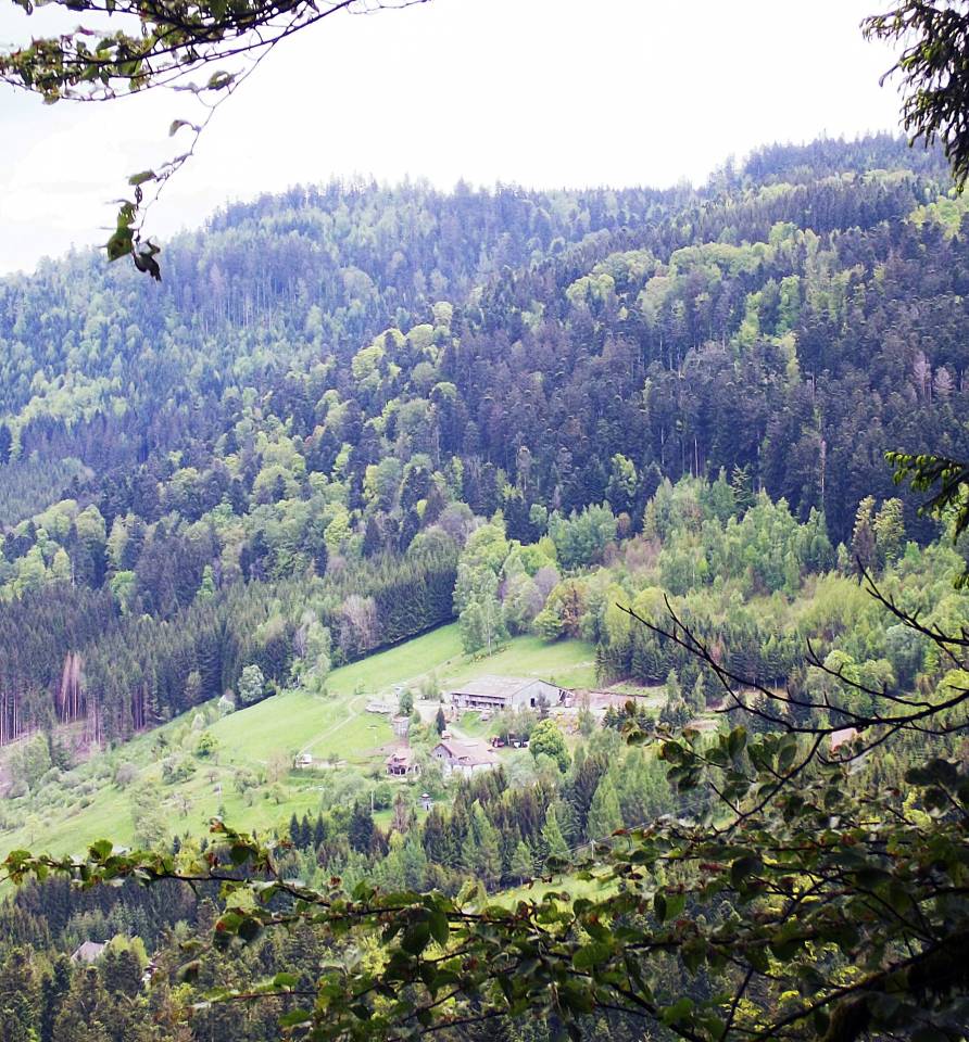  Cherche collaborateur(rice)en vue d ' une reprise 