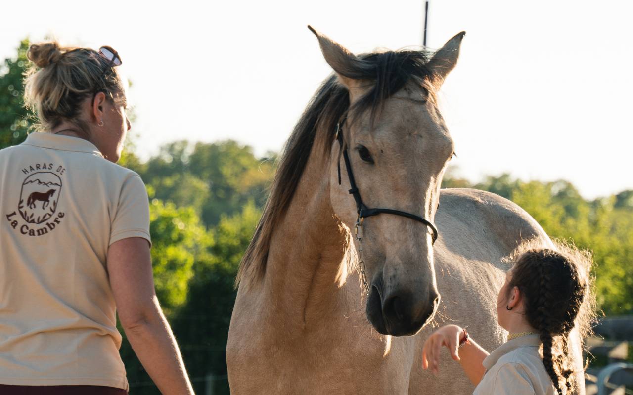 Niagara de la Cambre Pouliche PP PRE née en 2023