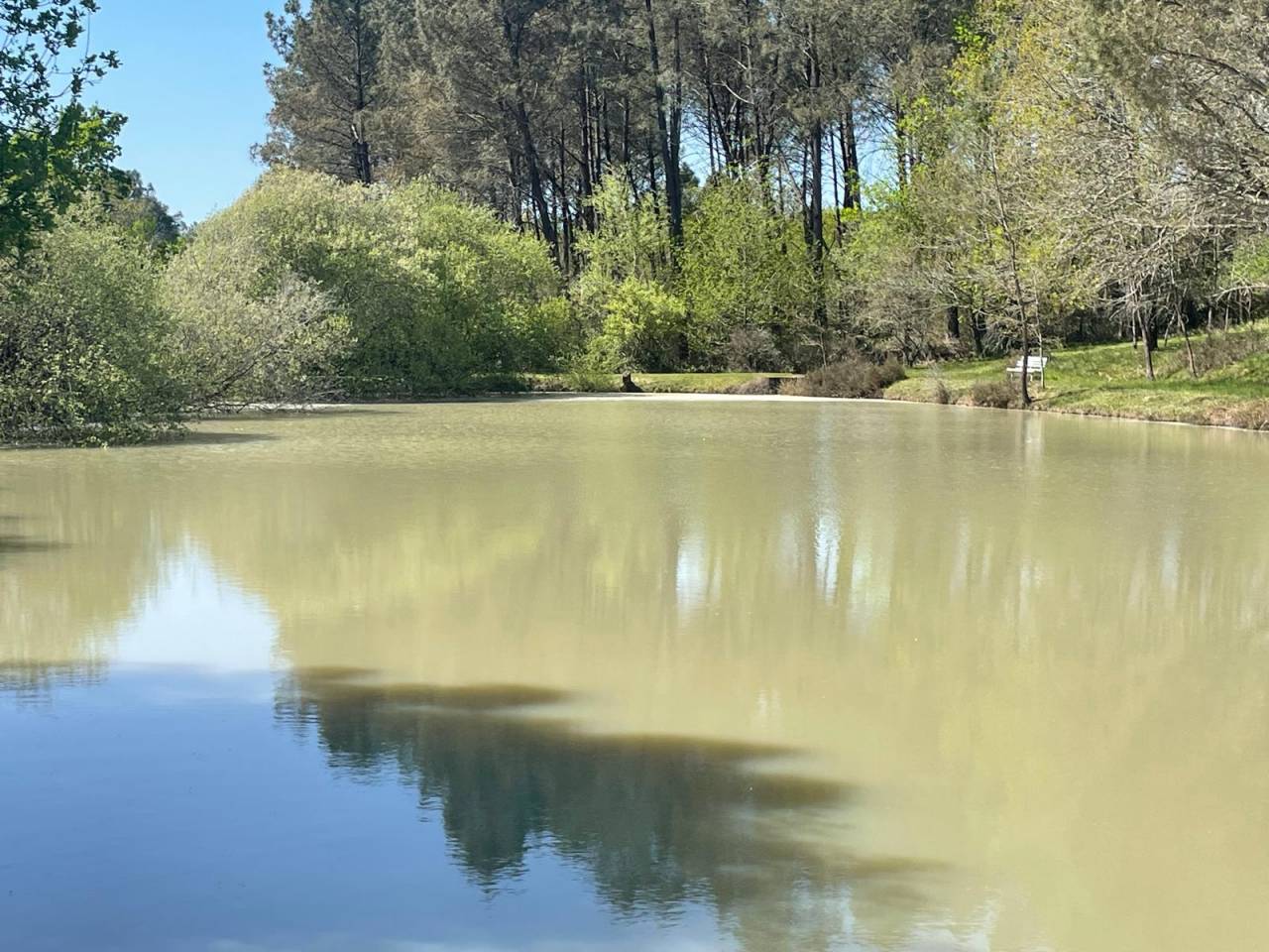 Propriété 31 ha idéale chevaux/gîtes 10 mn MONTPON M.