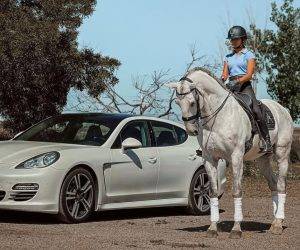 IMPARCIAL: Un lusitanien prêt à vous éblouir