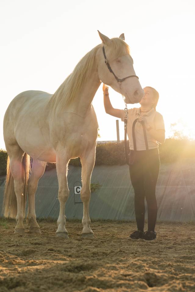 Jument PP Crème 4 ans