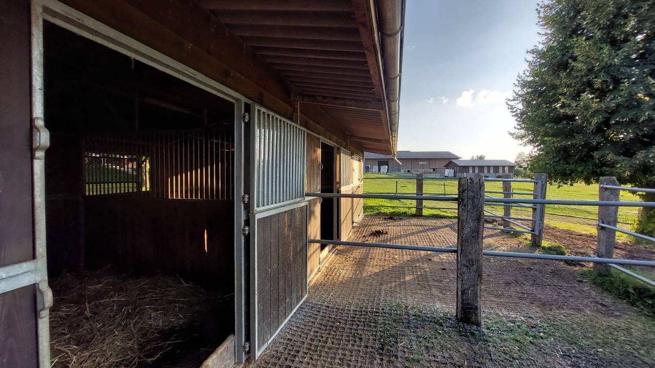 Spacieux boxe-terrasse à louer