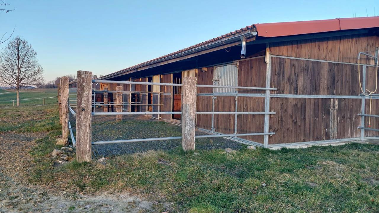 Spacieux boxe-terrasse à louer