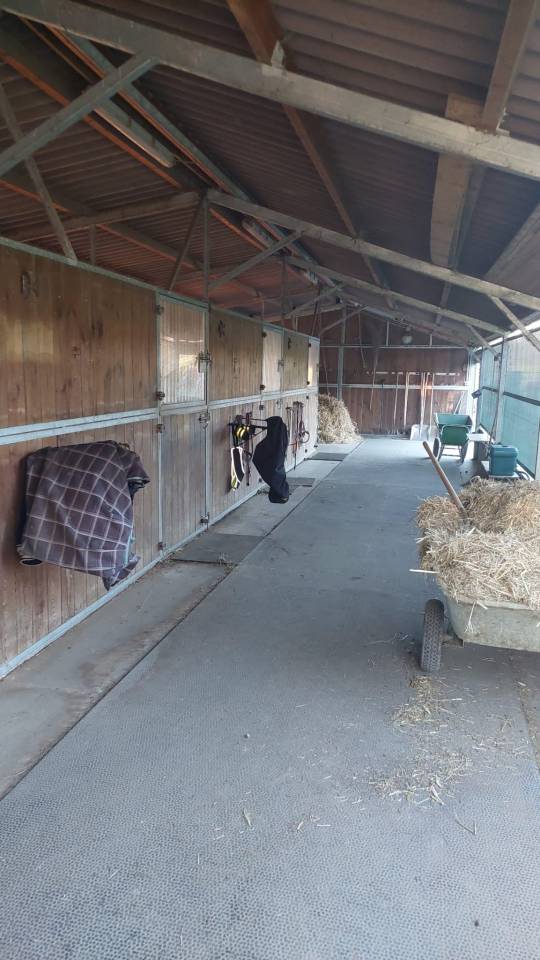 Spacieux boxe-terrasse à louer