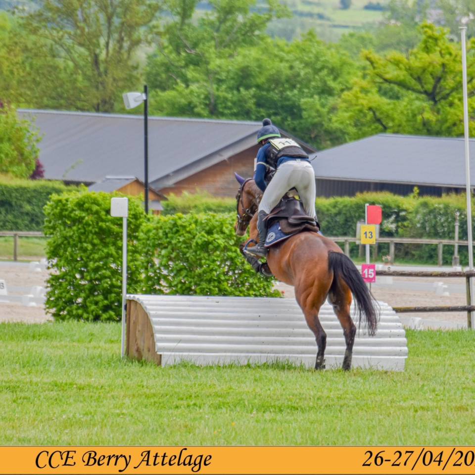 Top cheval de loisir, polyvalent, orientation CCE CSO