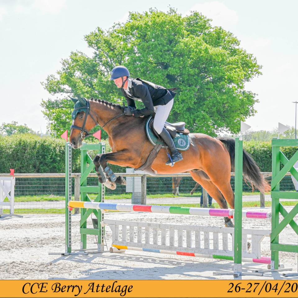 Top cheval de loisir, polyvalent, orientation CCE CSO