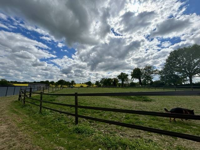 Écurie de course sur 15 ha