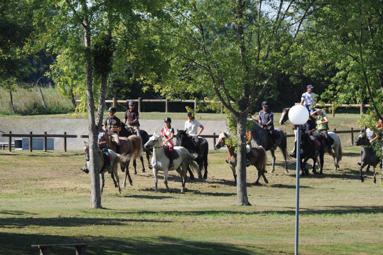 Randonnée à cheval