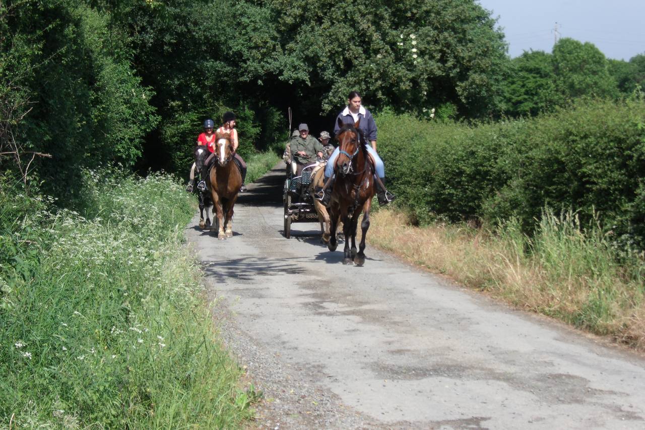 Randonnée à cheval