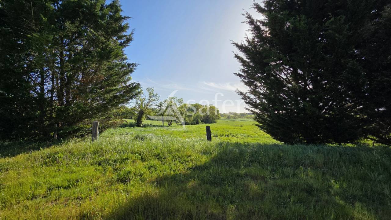 Bati ancien de caractère et son foncier d'un seul tenant