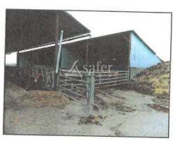 Exploitation Polyculture-élevage