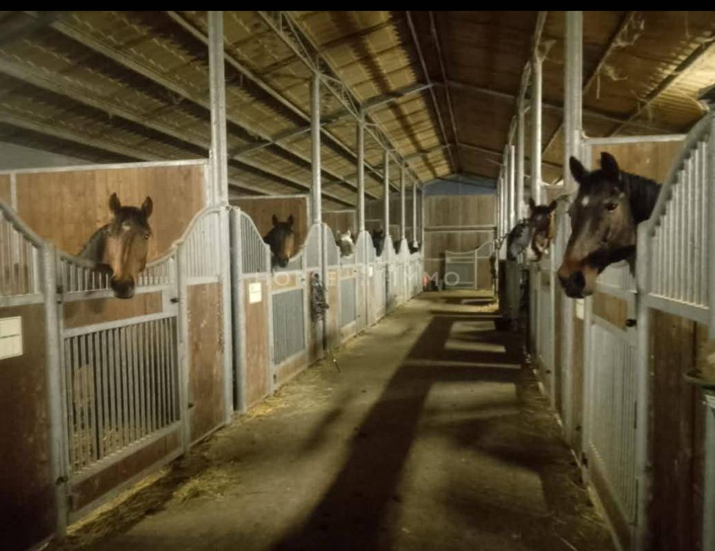 Domaine avec G&icirc;tes et salle de r&eacute;ception, 15 ha, C&ocirc;te Atlanti