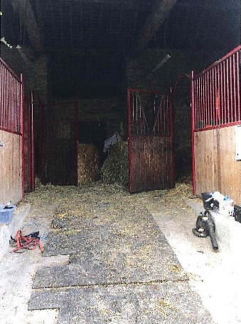 Propri&eacute;t&eacute; &eacute;questre - Habitation - B&B - G&icirc;te - 6Ha