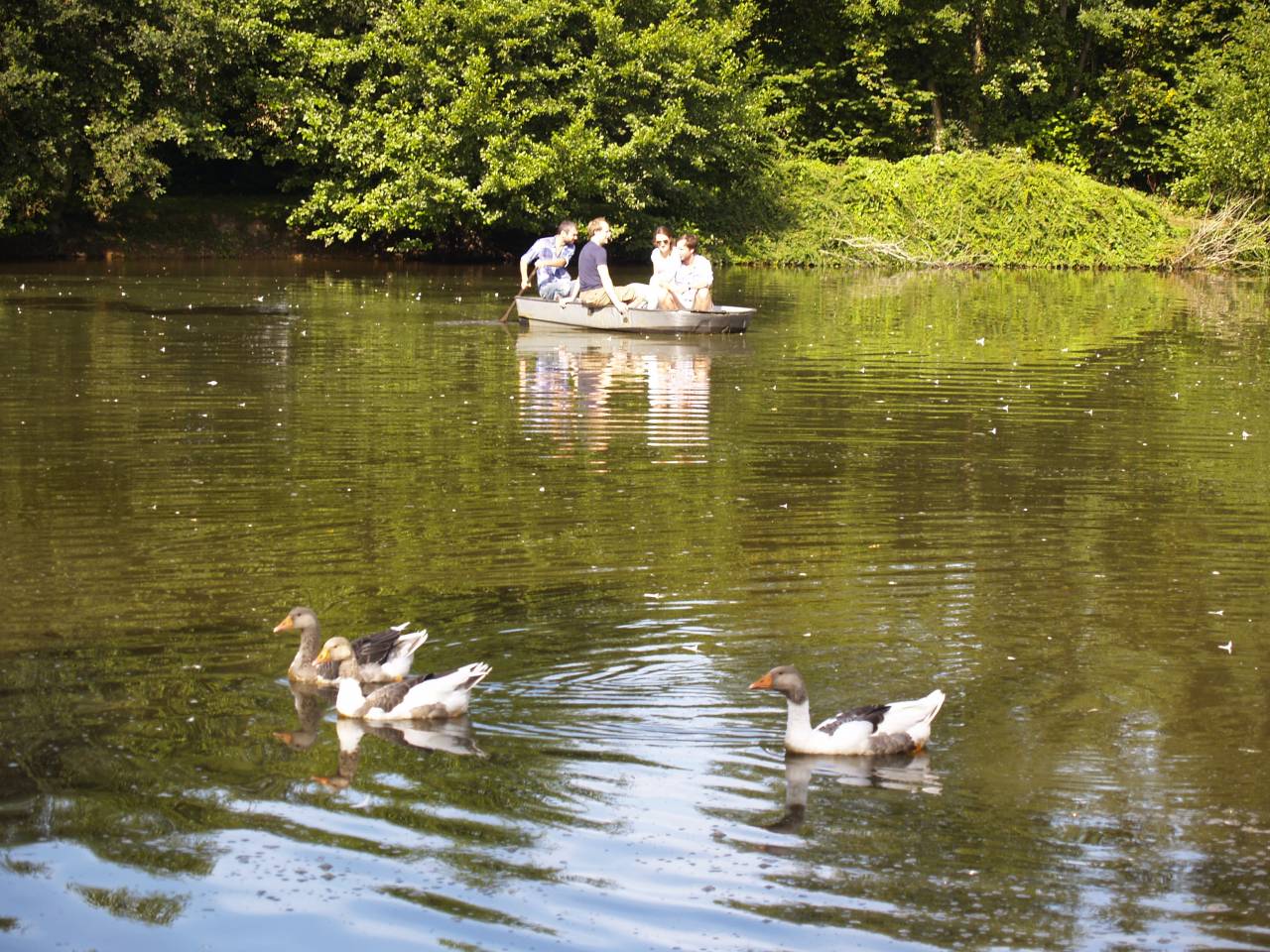 Propri&eacute;t&eacute; &eacute;questre - Habitation - B&B - G&icirc;te - 6Ha