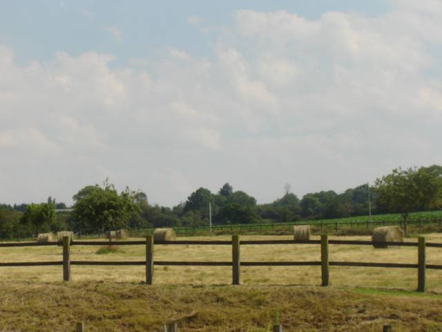 Propri&eacute;t&eacute; &eacute;questre - Habitation - B&B - G&icirc;te - 6Ha