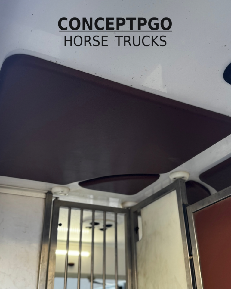 Camion 2 chevaux conceptpgo disponible 