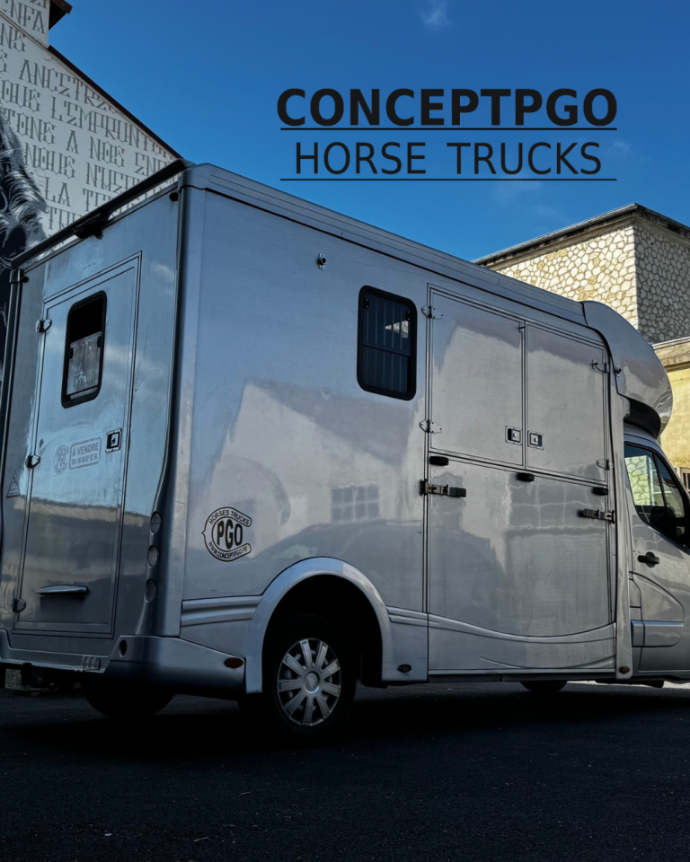 Camion 2 chevaux conceptpgo disponible 