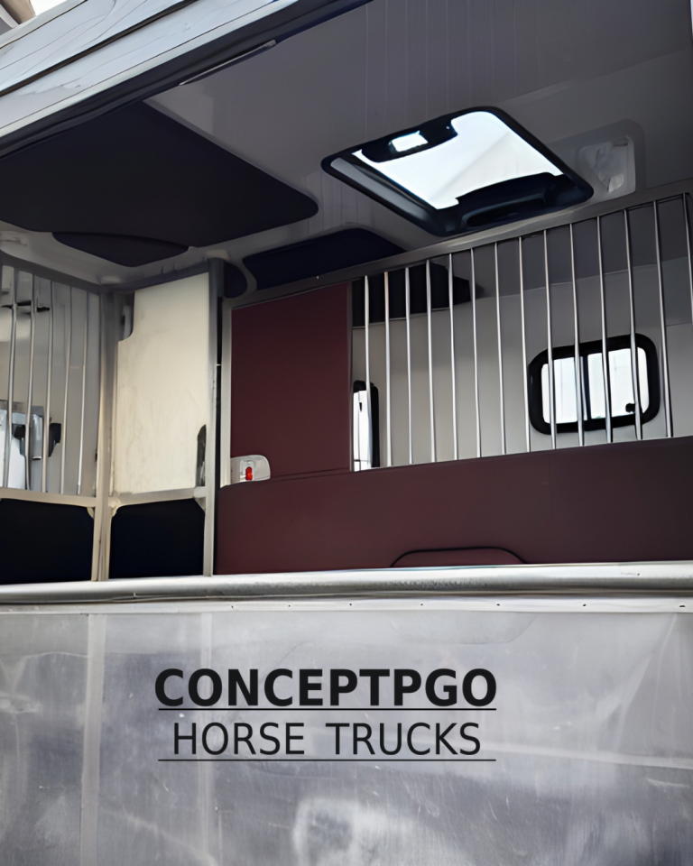 Camion 2 chevaux conceptpgo disponible 