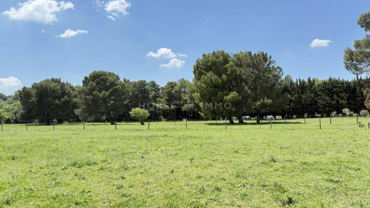 Alpilles - magnifique domaine de 6,5 hectares
