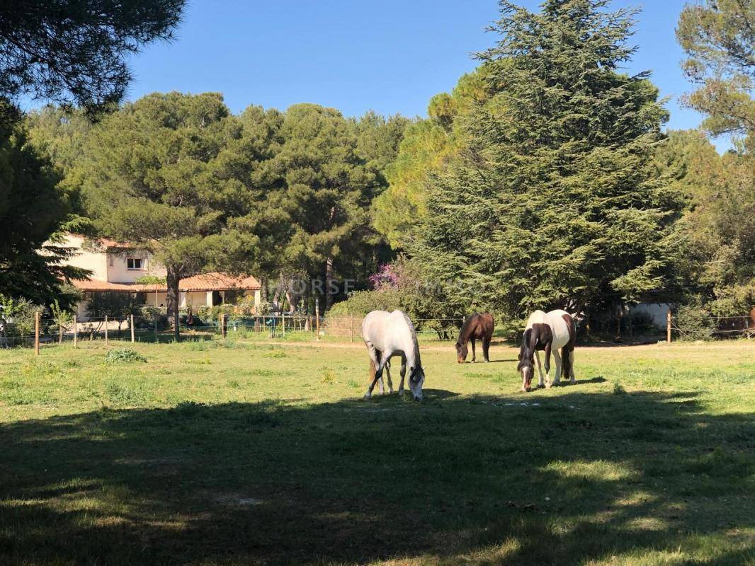 Alpilles - magnifique domaine de 6,5 hectares