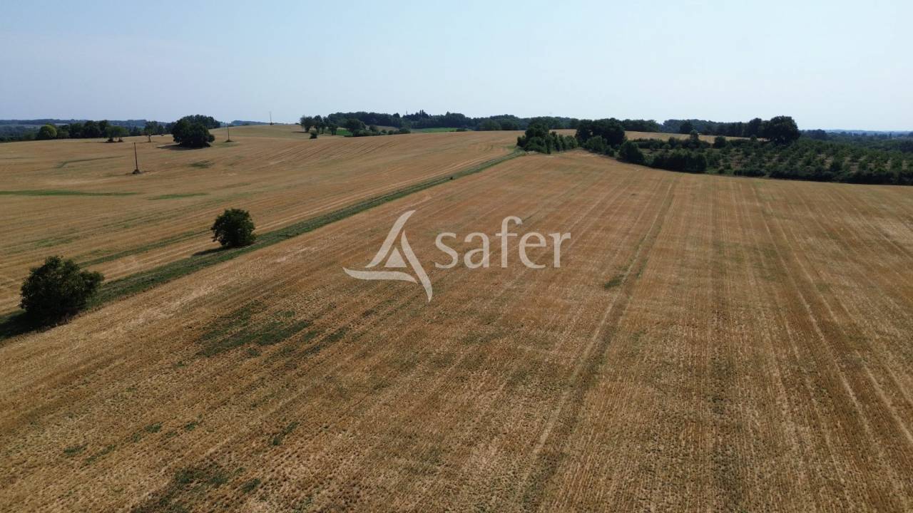 Très jolie propriété en pierre touristique et agricole