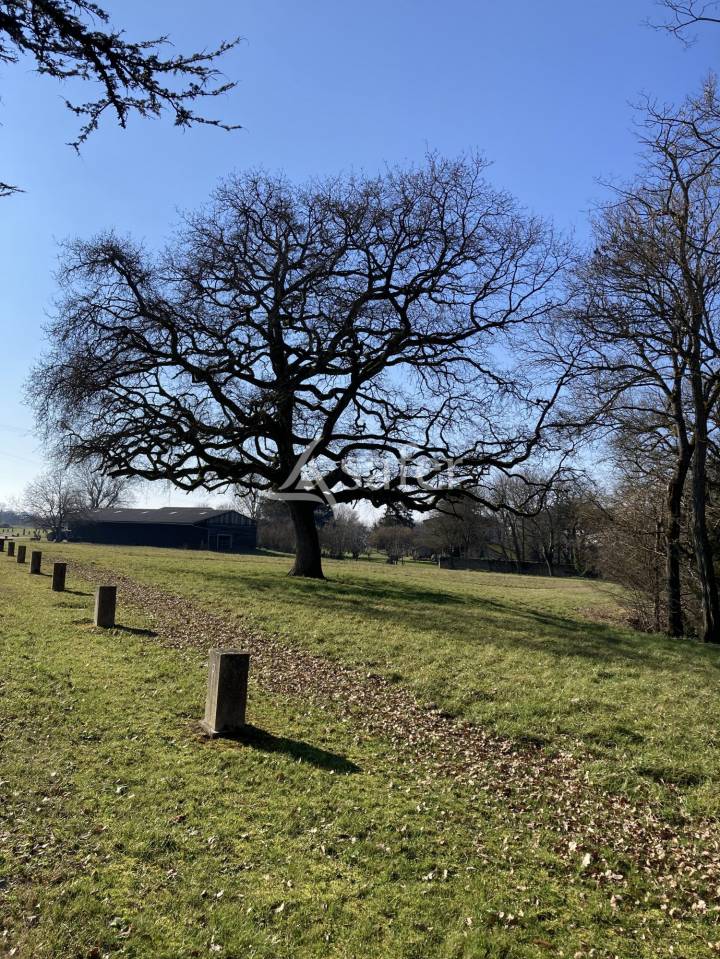 Très jolie propriété en pierre touristique et agricole