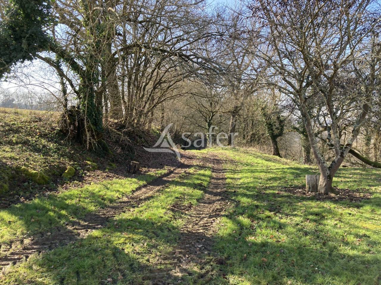 Très jolie propriété en pierre touristique et agricole