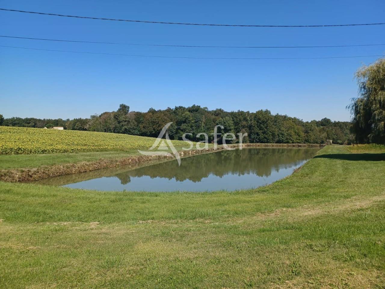 Propriété agricole sur 25ha