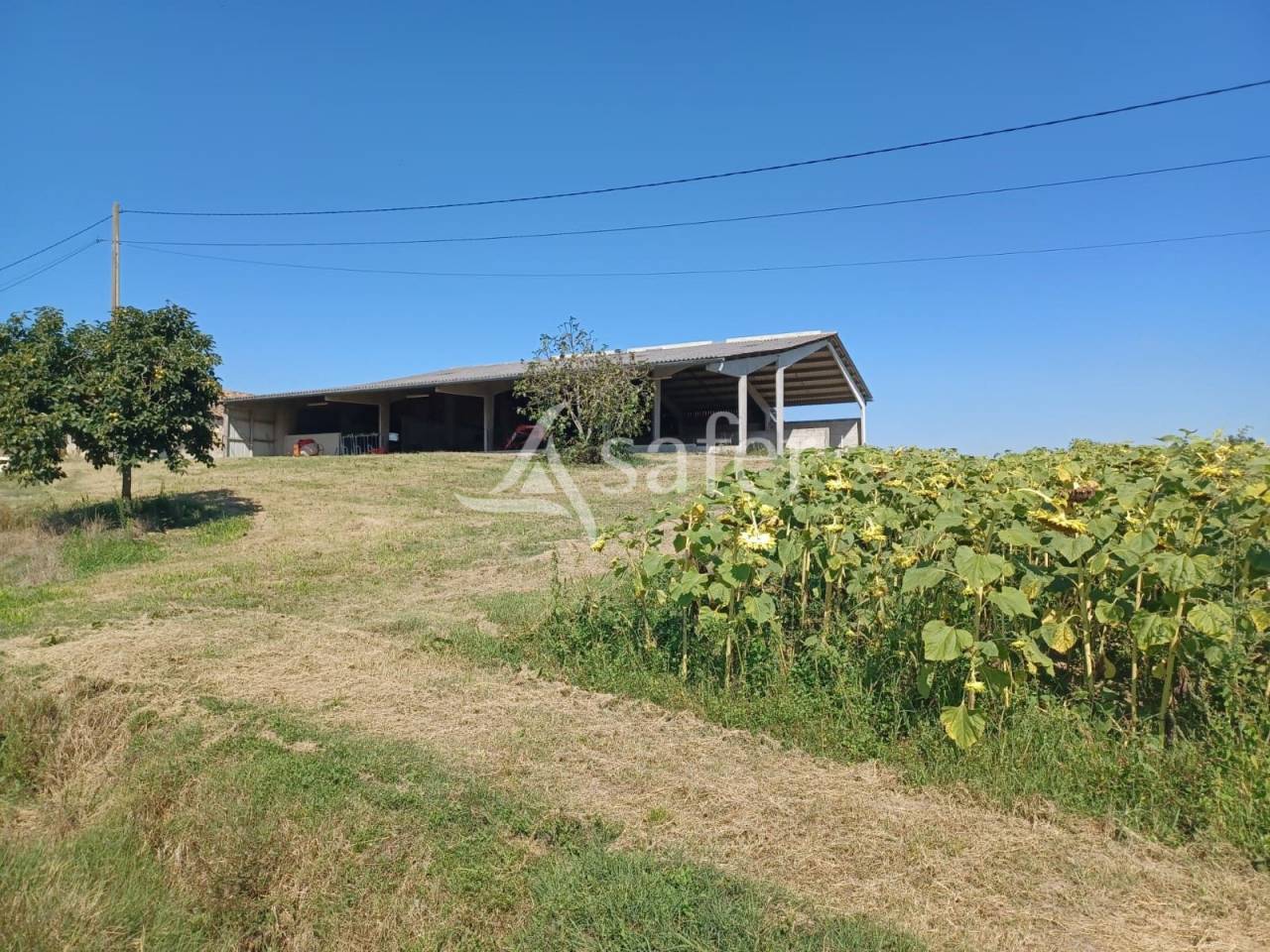 Propri&eacute;t&eacute; agricole sur 25ha