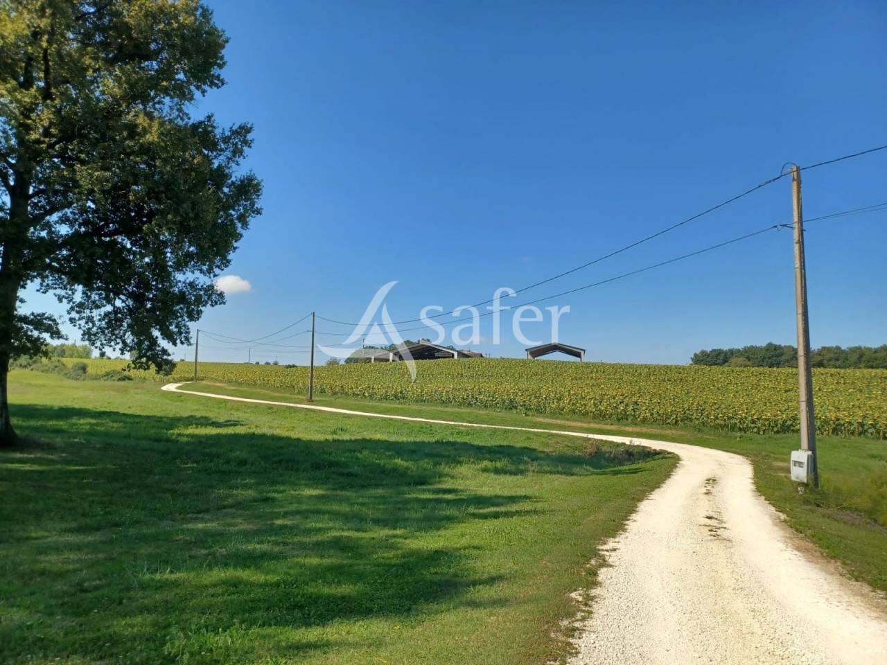 Propri&eacute;t&eacute; agricole sur 25ha