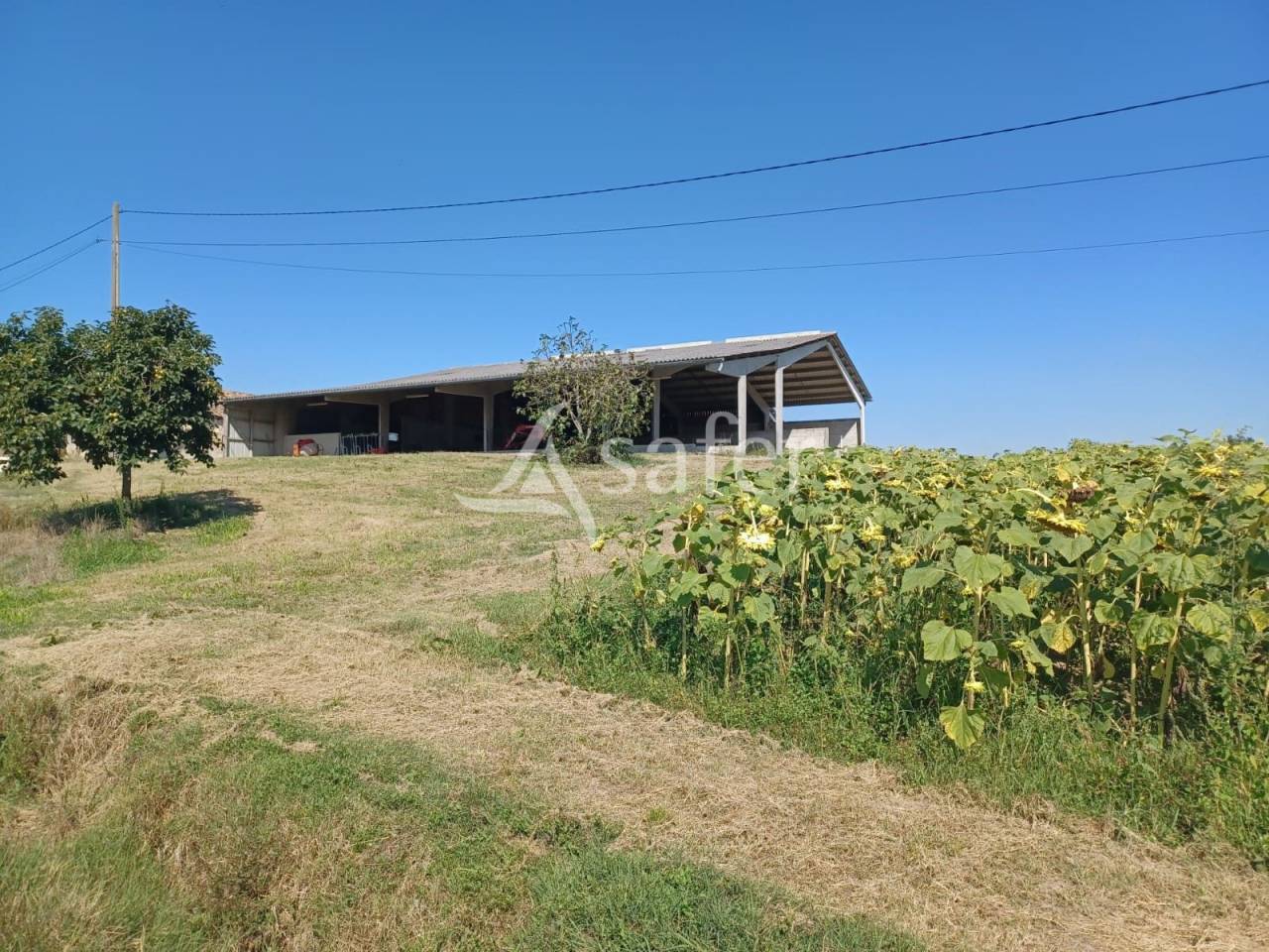 Propri&eacute;t&eacute; agricole sur 25ha