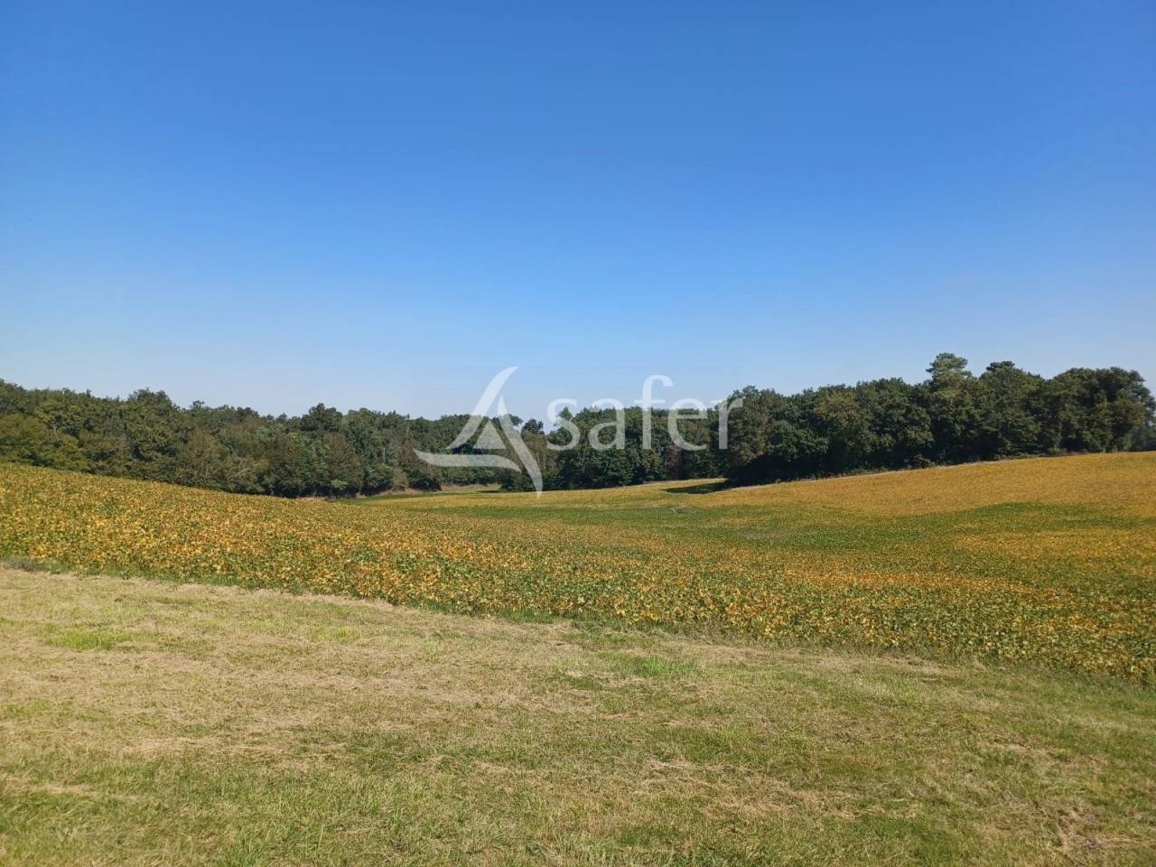 Propri&eacute;t&eacute; agricole sur 25ha