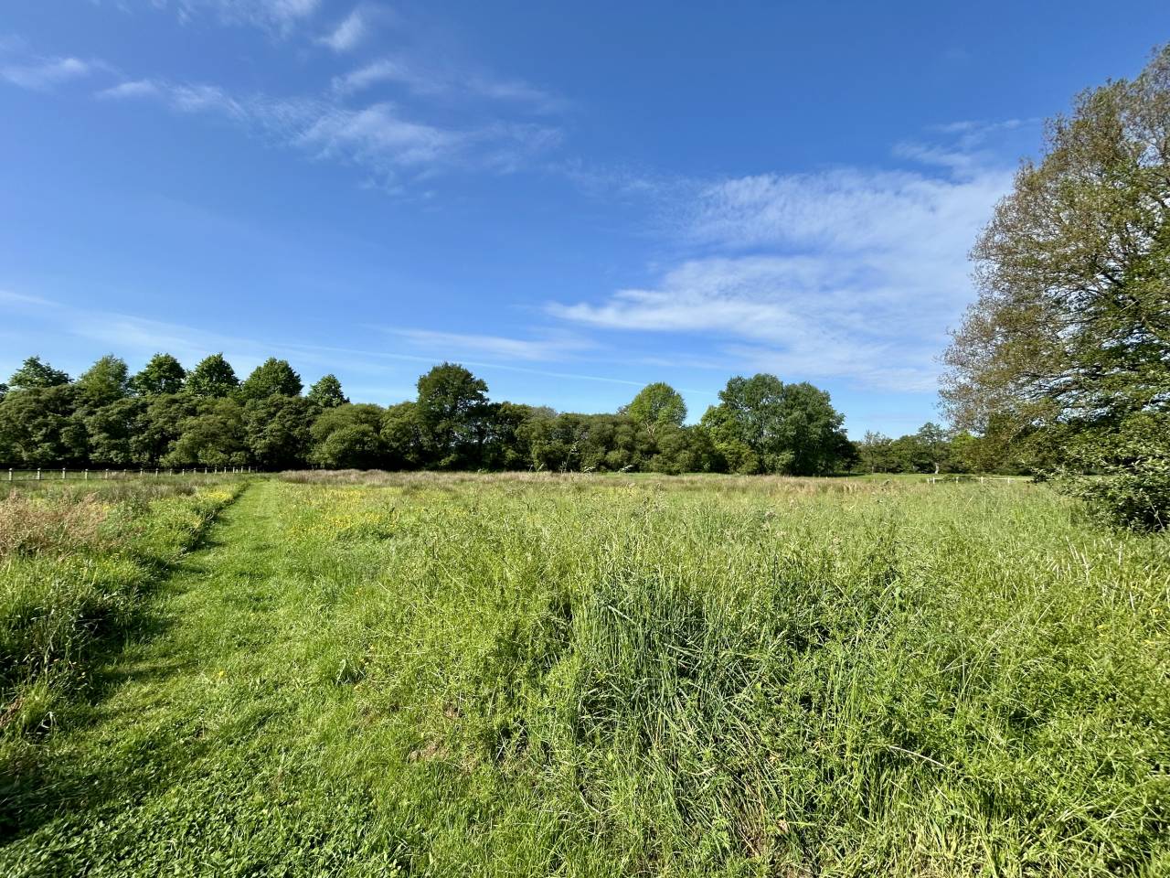 Domaine avec gites sur 3ha