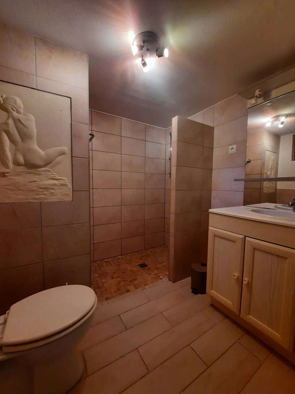 Demeure historique - Gites 3,6 ha - 30 mn LA ROCHELLE 