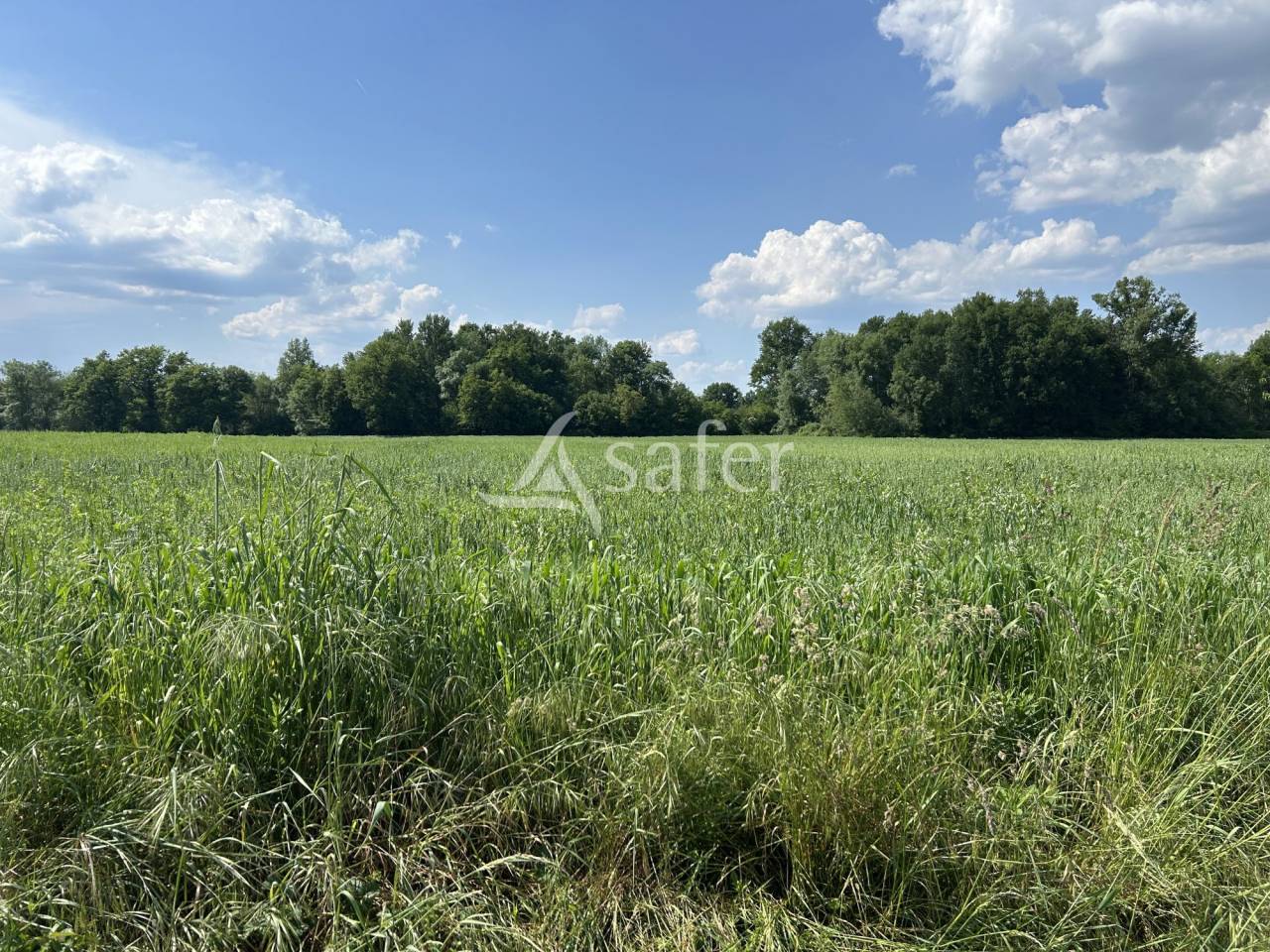 Propriété agricole sur 11ha
