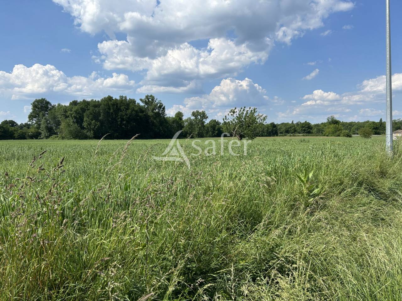 Propriété agricole sur 11ha
