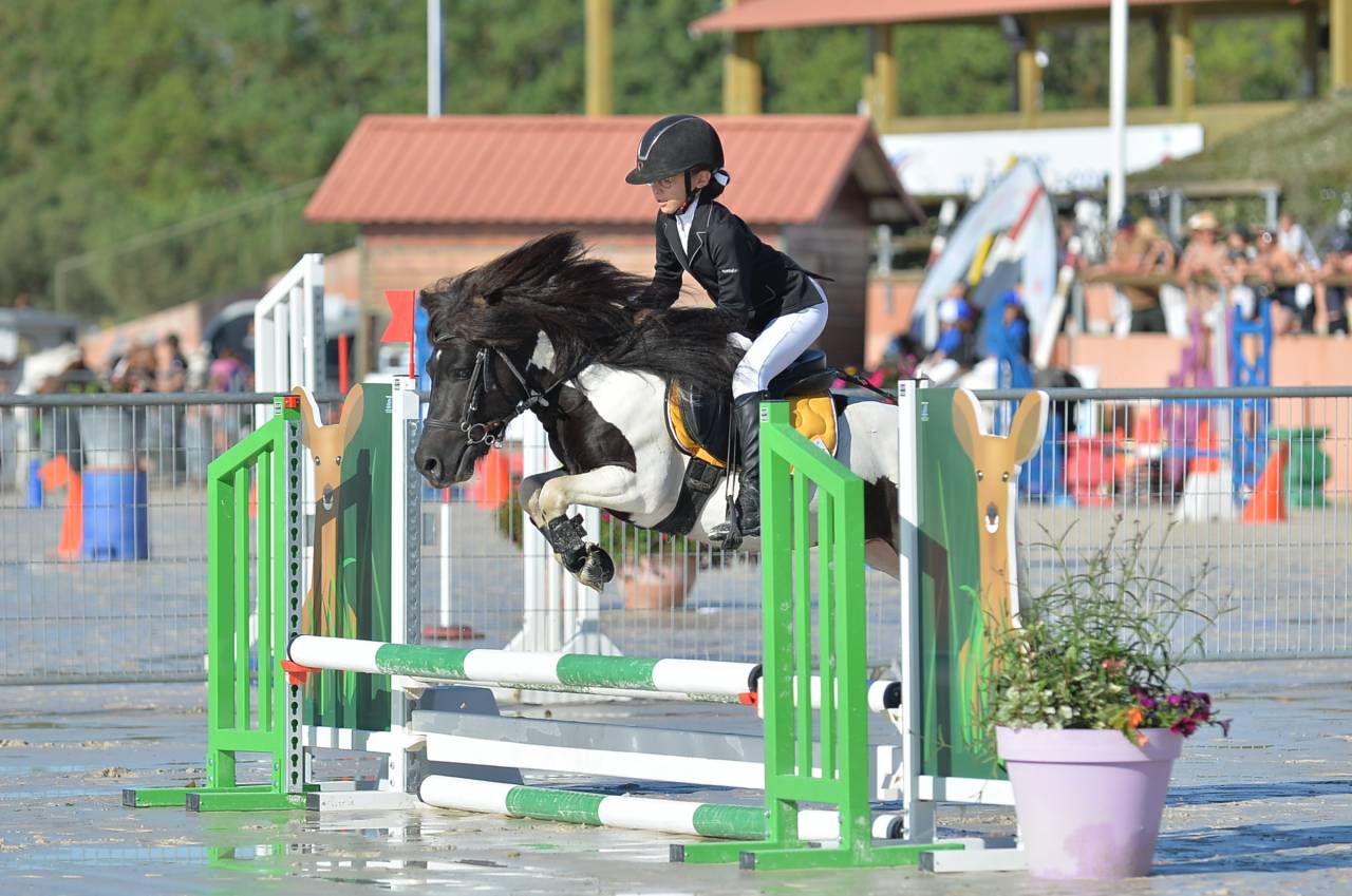 Etalon shetland grand standard - ipo129