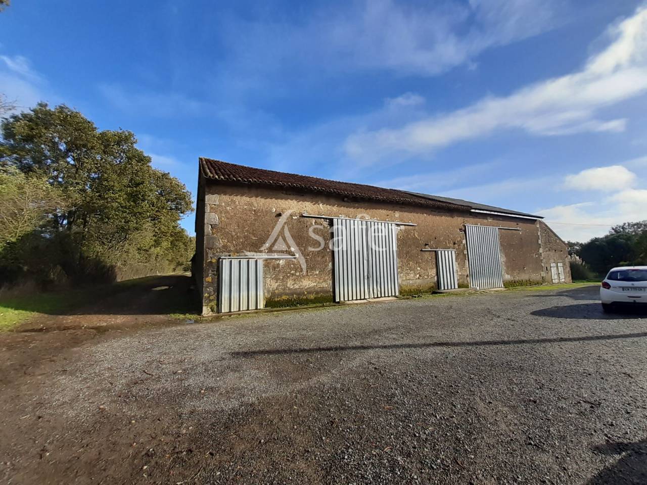 Exploitation Ovine sur 93 ha