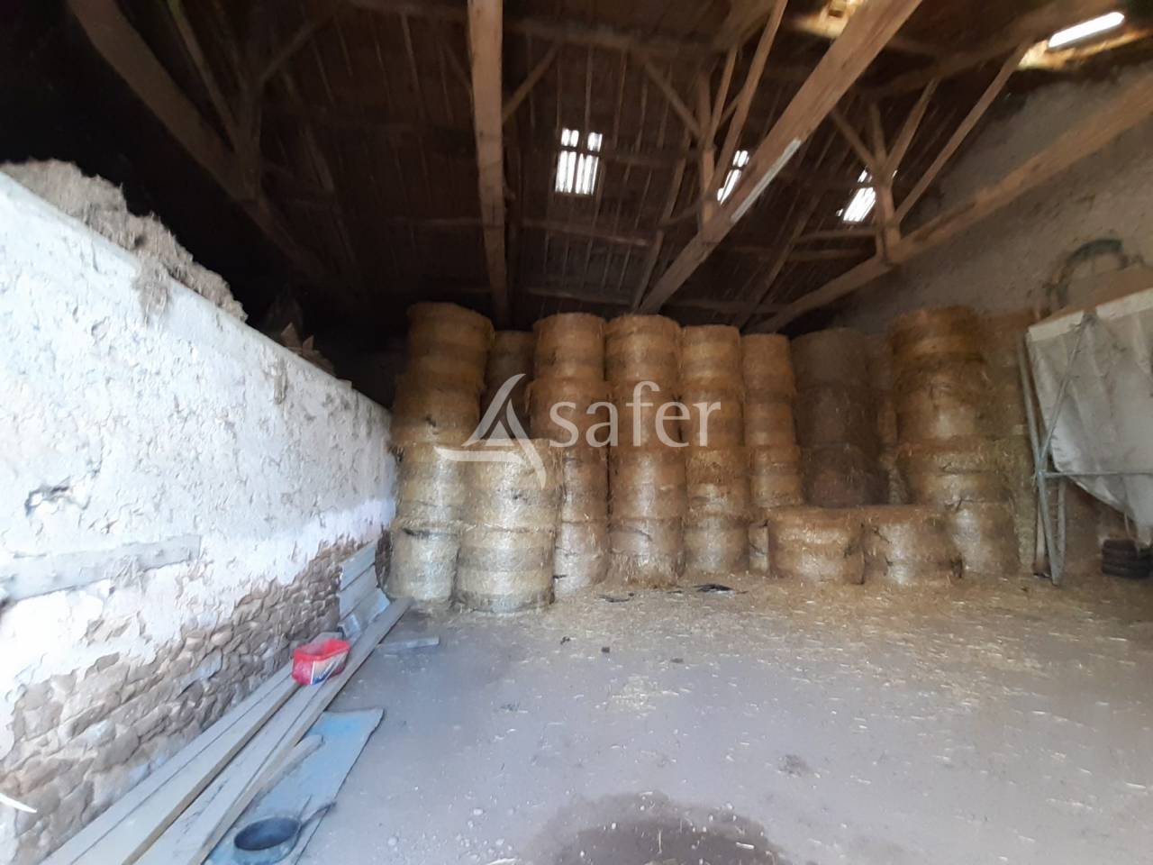 Exploitation Ovine sur 93 ha