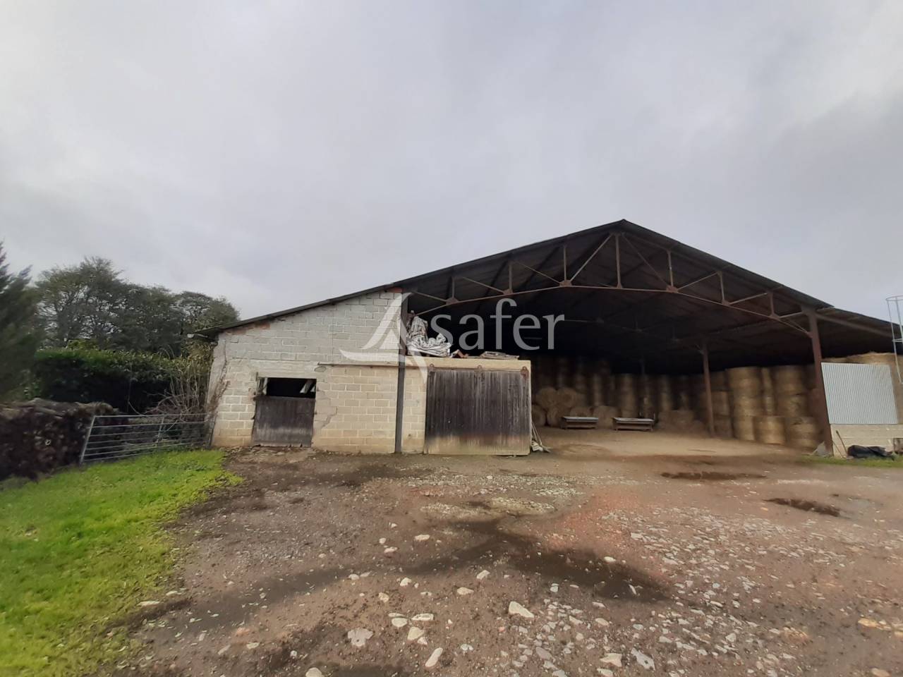 Exploitation Ovine sur 93 ha