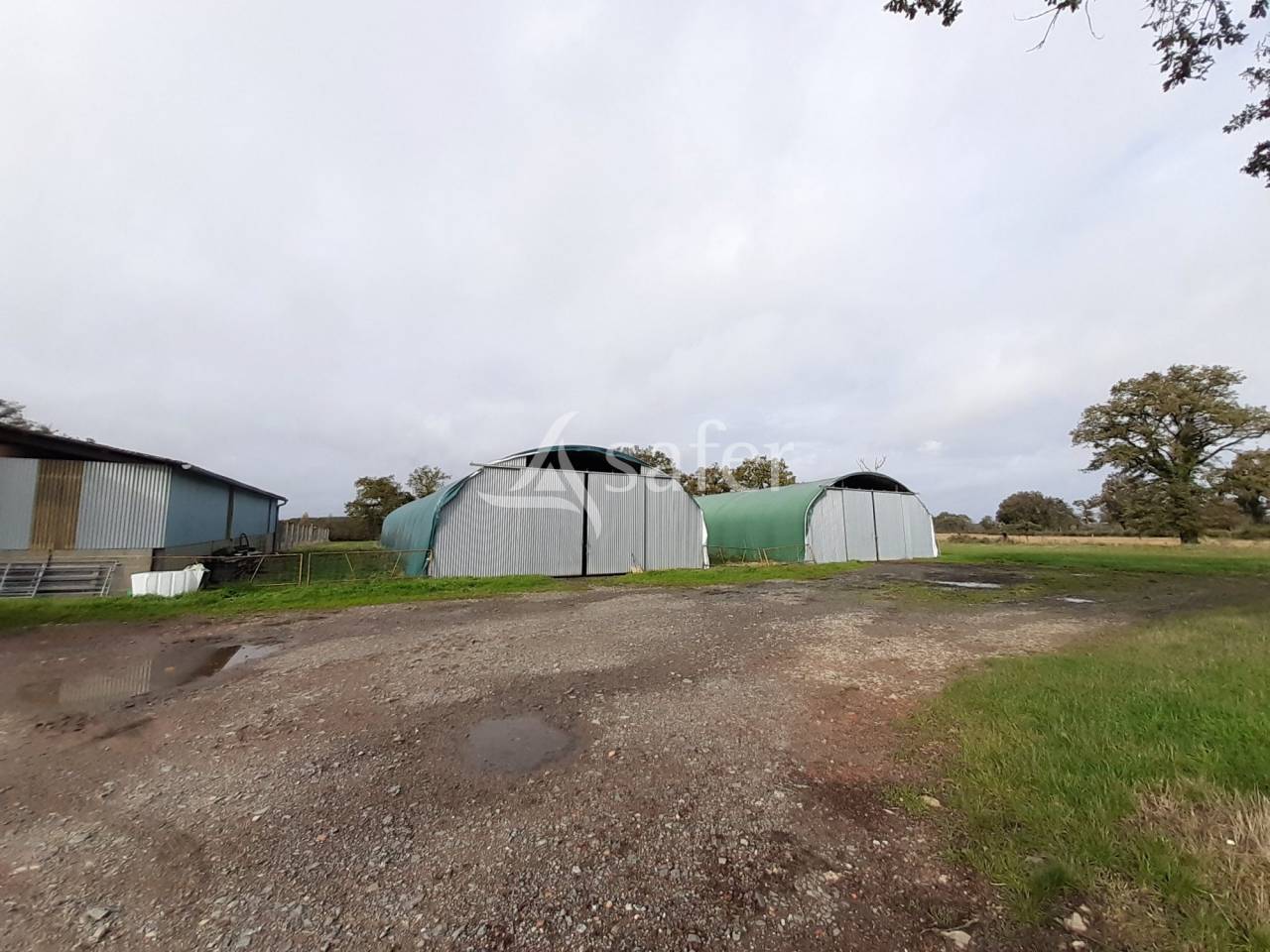 Exploitation Ovine sur 93 ha