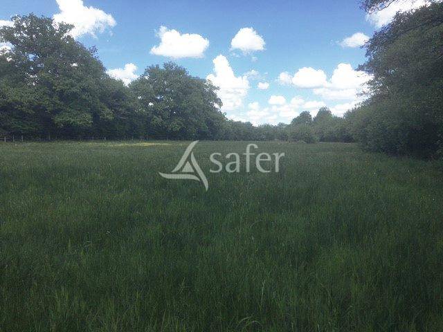 A dix minutes de Guéret, propriété bâtie avec environ 5 hect