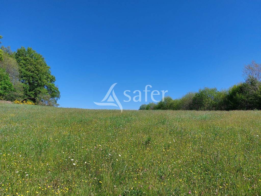 Propriété d'environ 7h30, isolée du voisinage