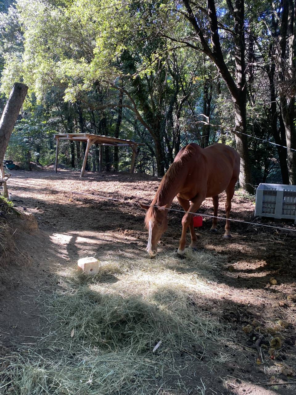 G&icirc;te dans les C&eacute;vennes 