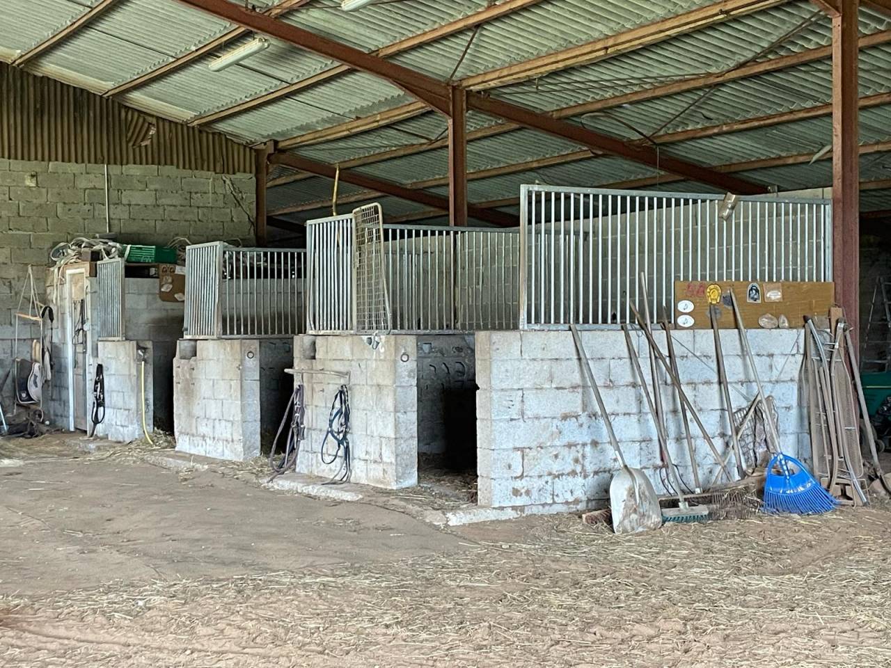 Propriété équestre sur 17 ha - 25 mn SARLAT LA C. (24)