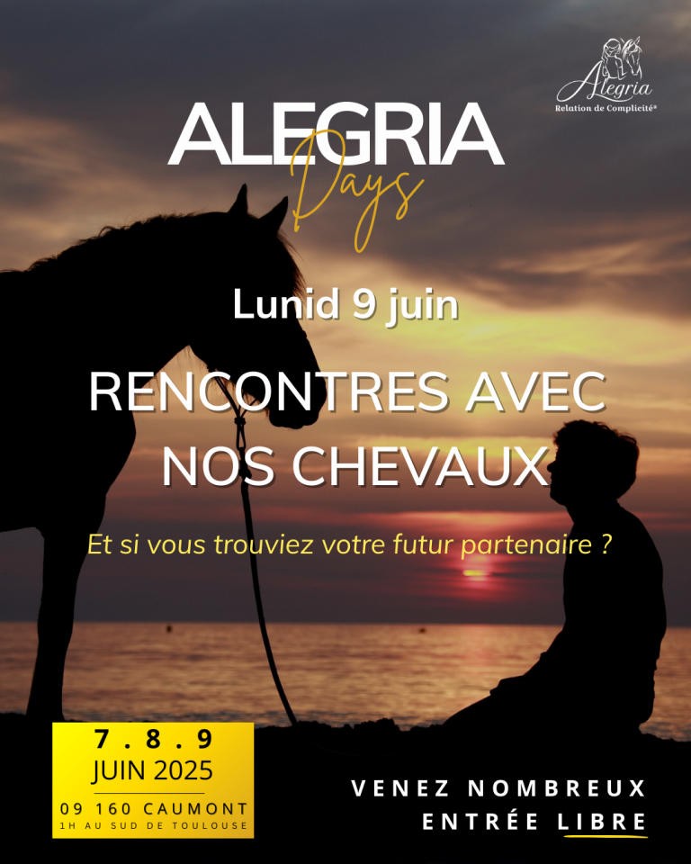 Poulain Alegria , parfait partenaire en devenir !