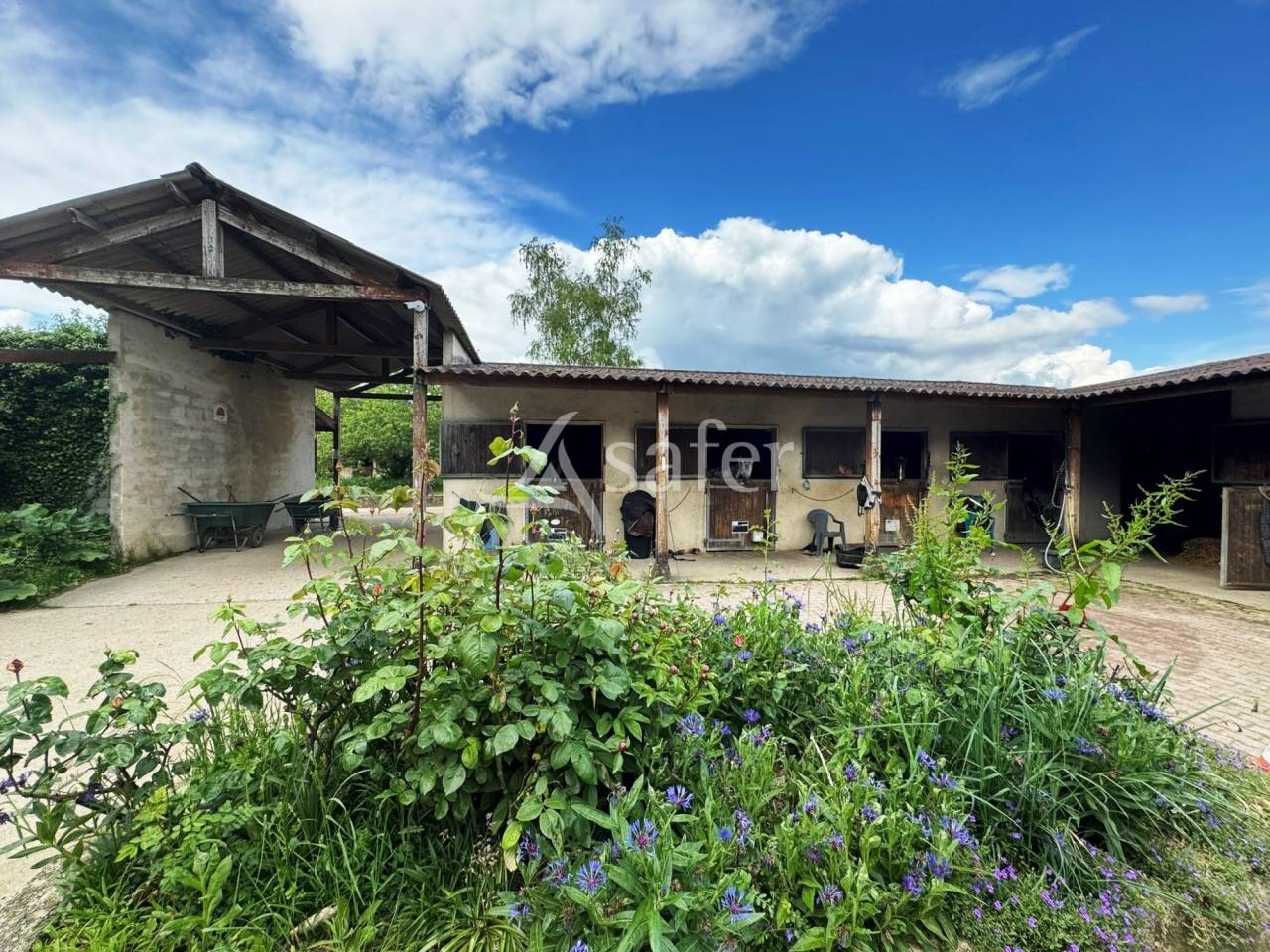 Propriété équestre - Ecurie de propriétaires